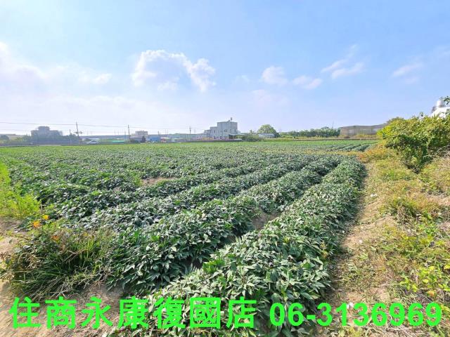 台南新化農地-4