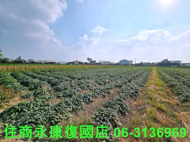 台南新化農地-5
