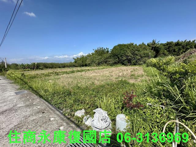 台南左鎮農地-2