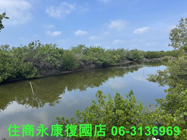 安南農地-3