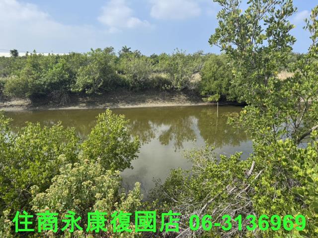 安南農地-5