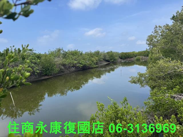 安南農地-6