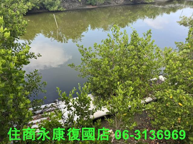 安南農地-7