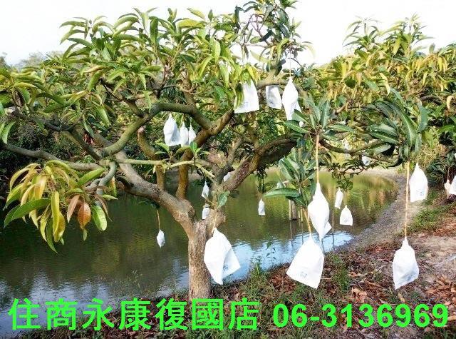 南化農地-10