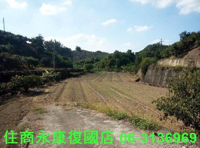 南化農地-3