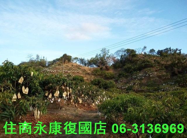 南化農地-8
