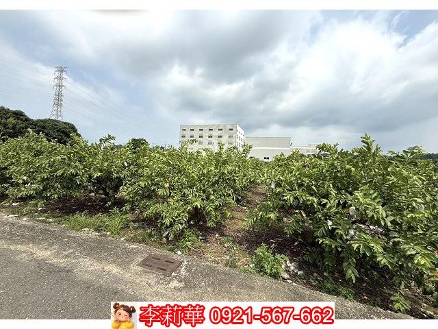 山上建地-5