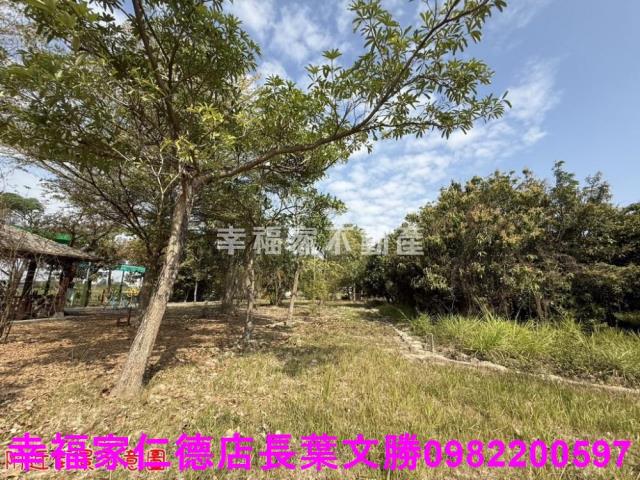 台南歸仁農地-0