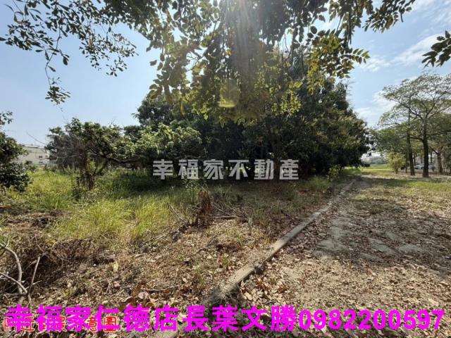 台南歸仁農地-1