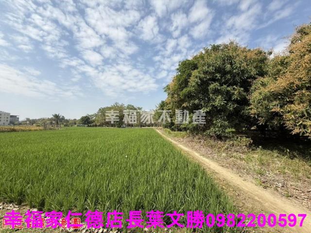 台南歸仁農地-2
