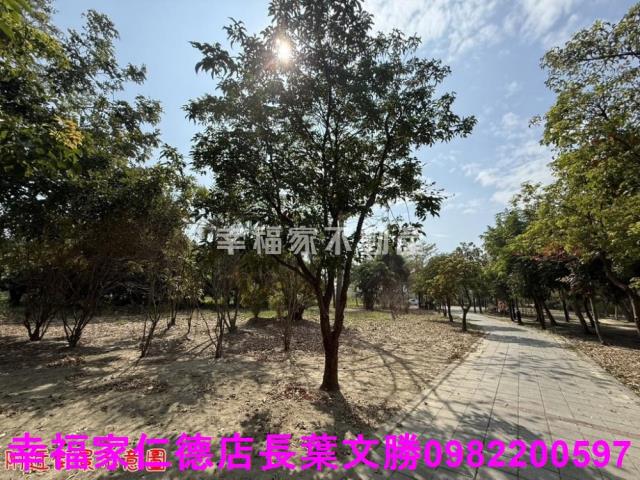 台南歸仁農地-4
