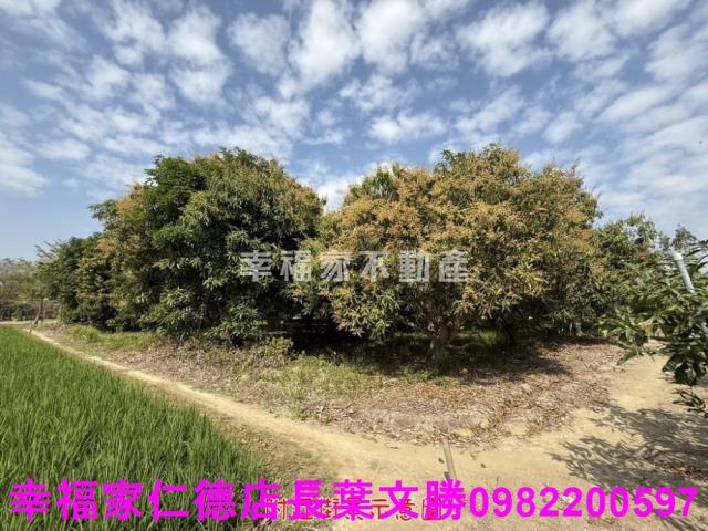 台南歸仁農地-5