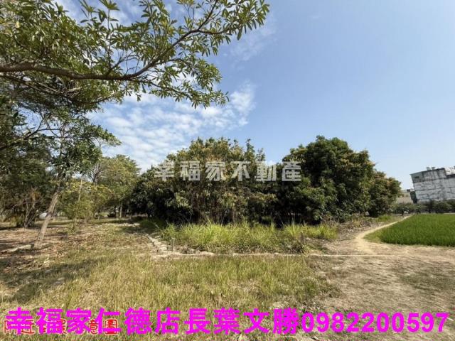 台南歸仁農地-6