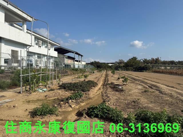 新市農地-3