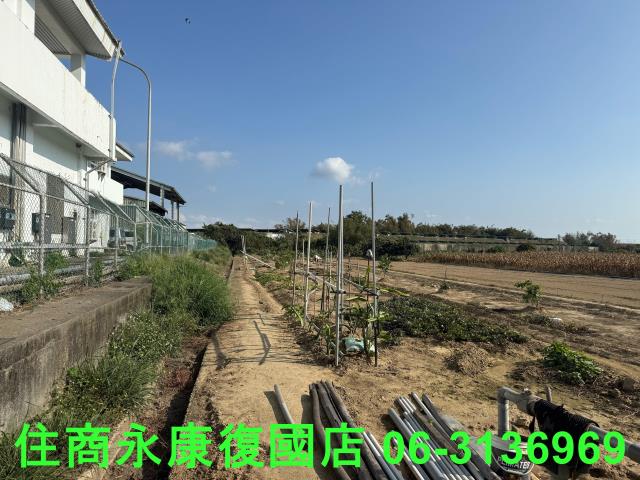 新市農地-5