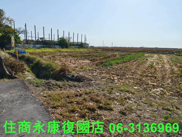 佳里農地-12