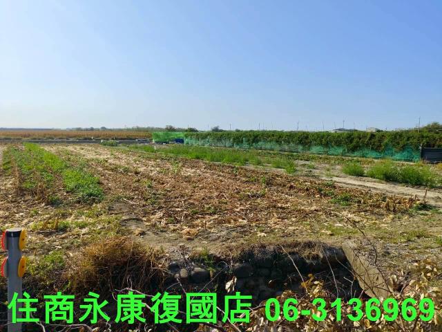 佳里農地-13