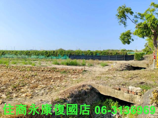 佳里農地-14