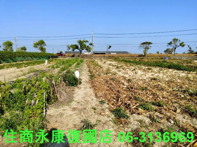 佳里農地-6