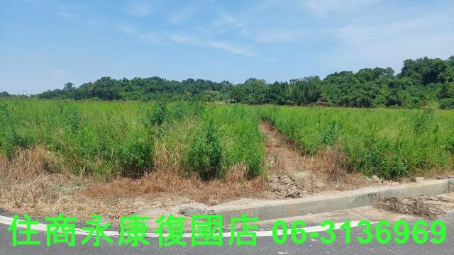 官田農地-11