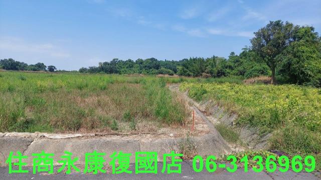 官田農地-13