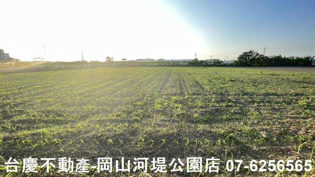 台南新營農地-8