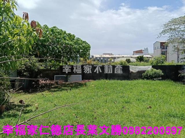 台南仁德農地-10