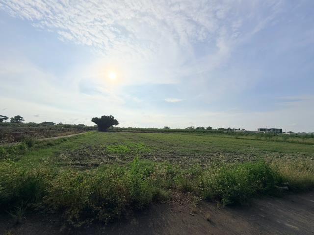 台南佳里農地-6