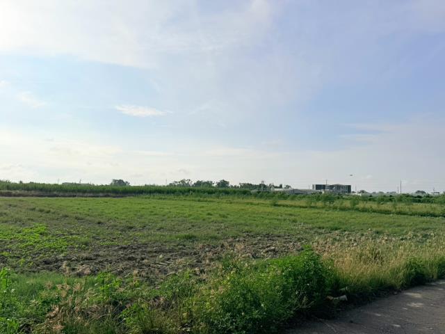 台南麻豆農地-1