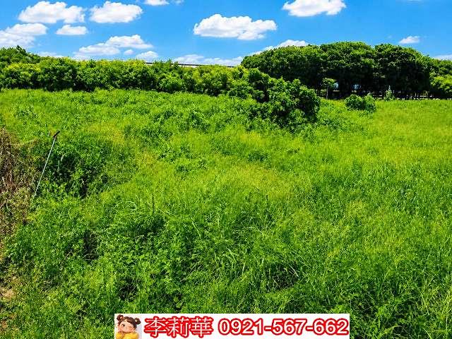 台南歸仁農地-6