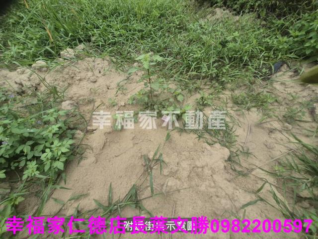 台南農地-0