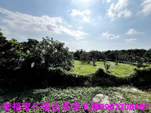 台南佳里農地-12