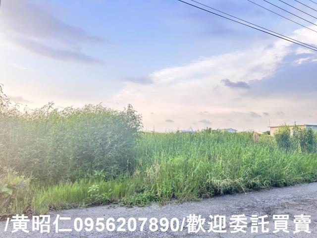 台南農地-6