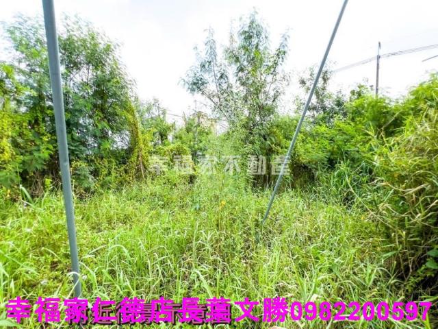 台南麻豆工業地-11