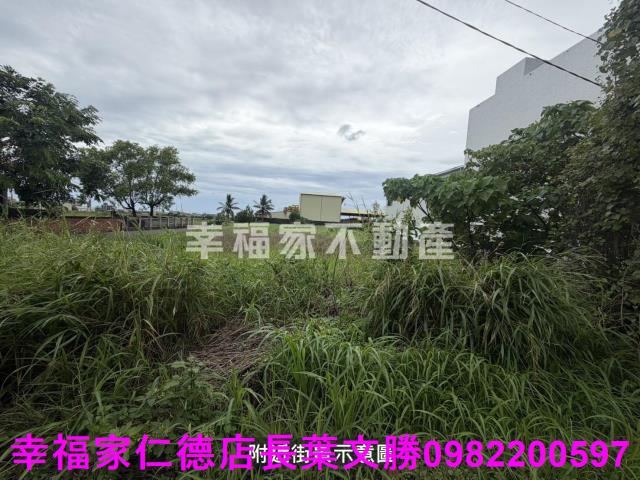 台南新市農地-5