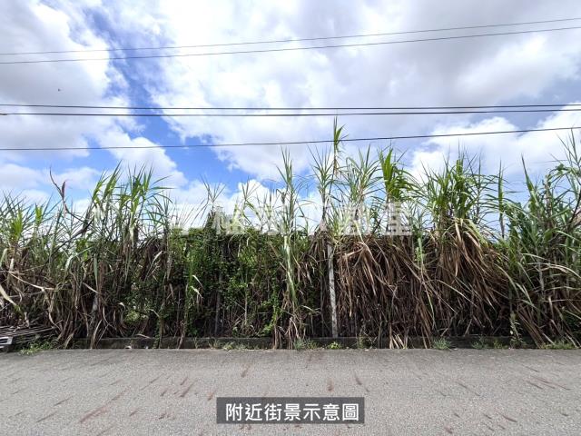 台南安定農地-8