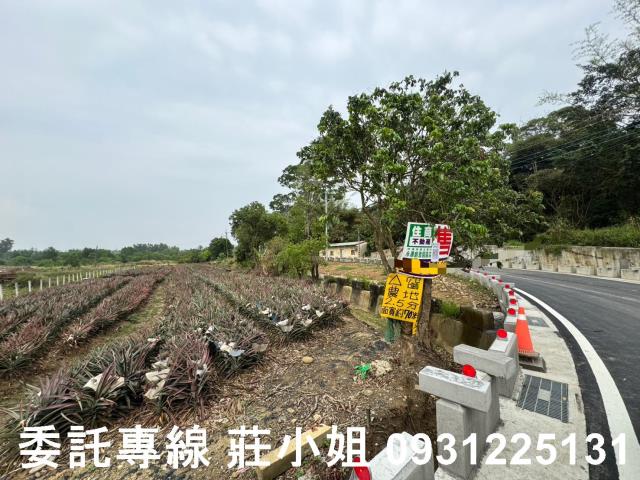 關廟農地-3