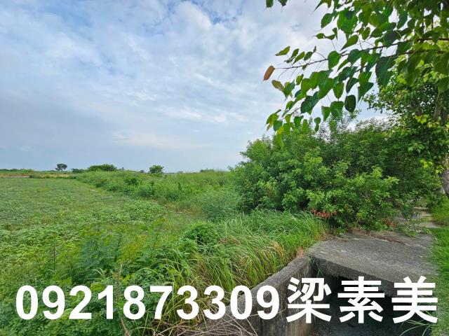 台南七股農地-7