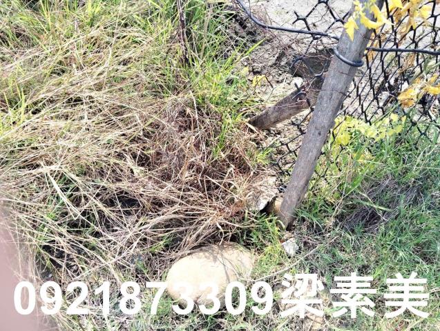 安南建地-3