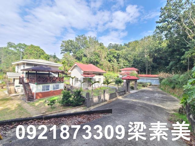 台南新化農地-11