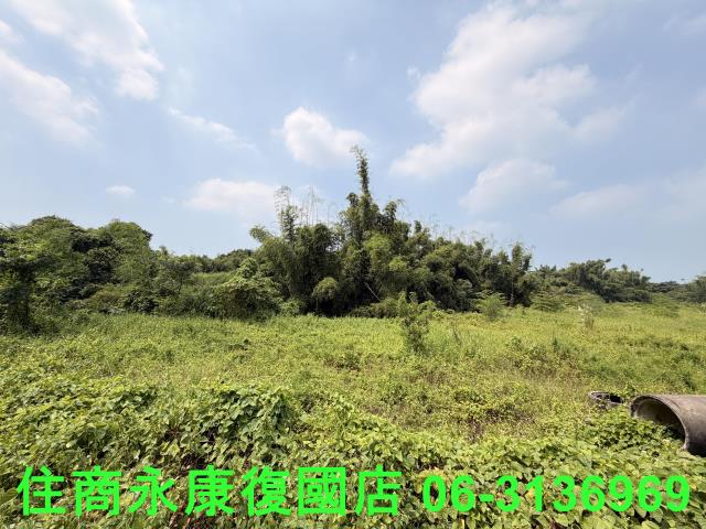 台南歸仁農地-5