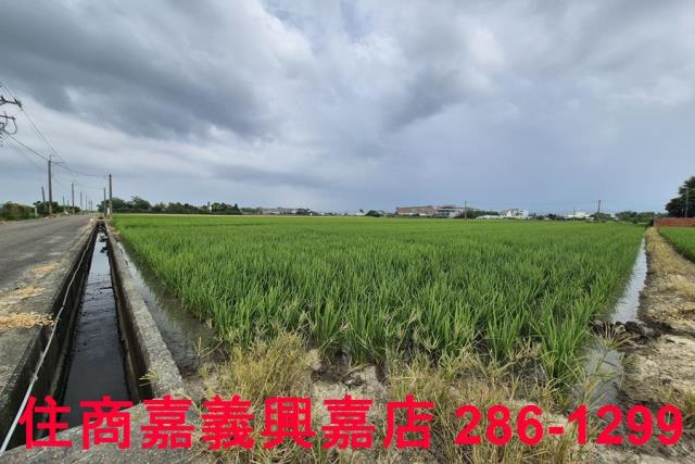 白河農地-9
