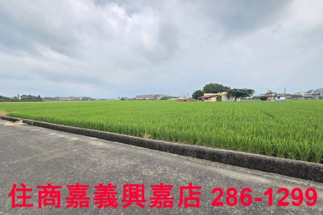 白河農地-1