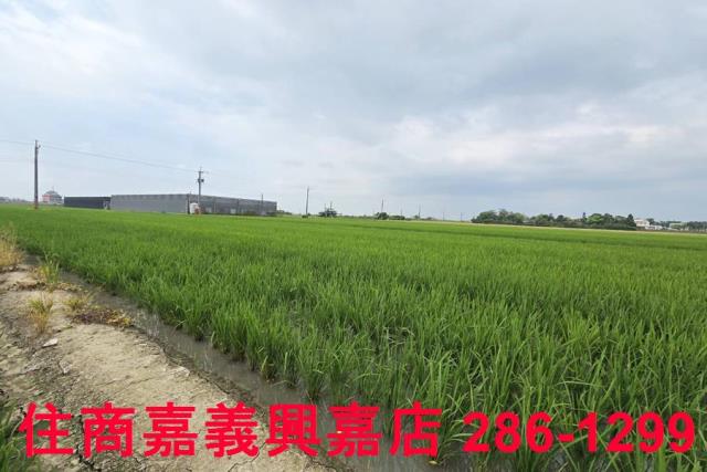 白河農地-3