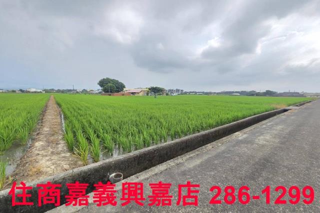 白河農地-6