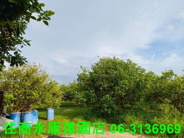 台南佳里農地-13