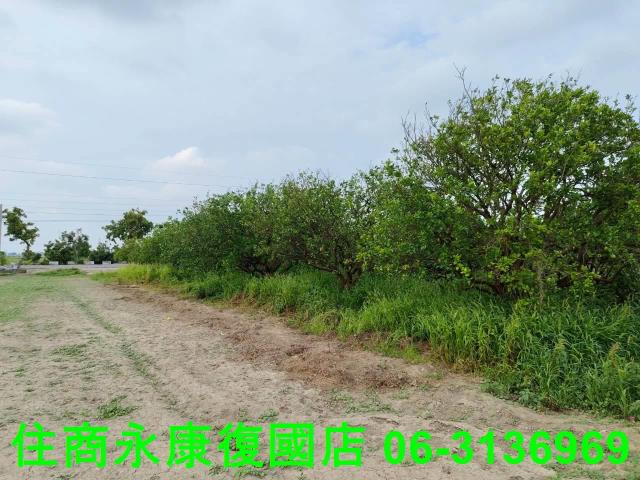 台南佳里農地-5