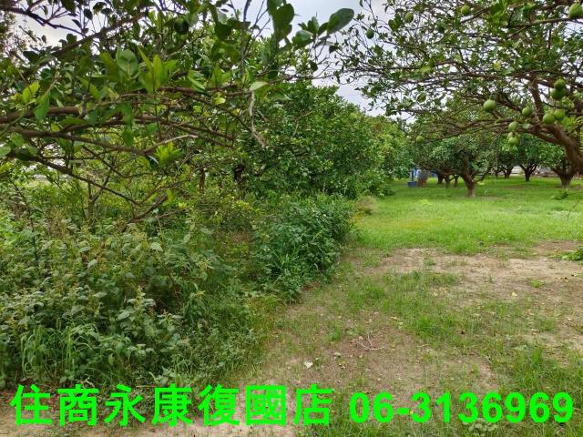 台南佳里農地-7