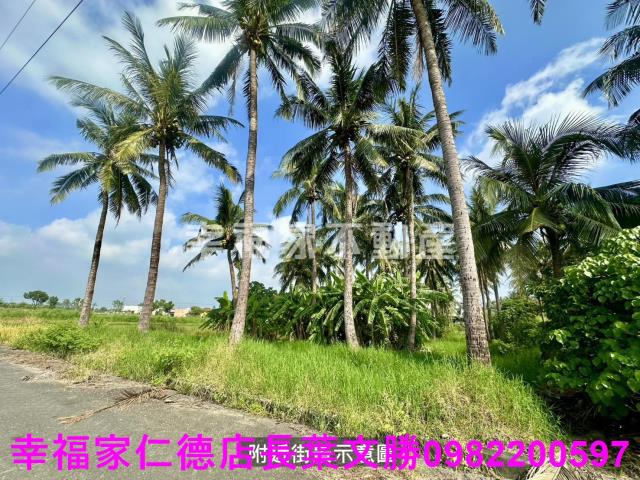 台南西港農地-11