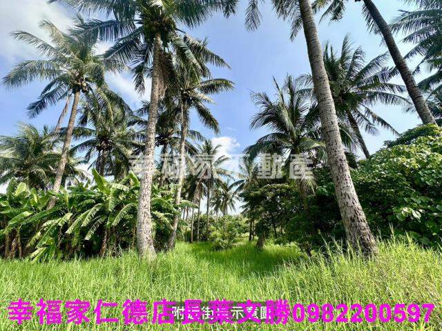 台南西港農地-1